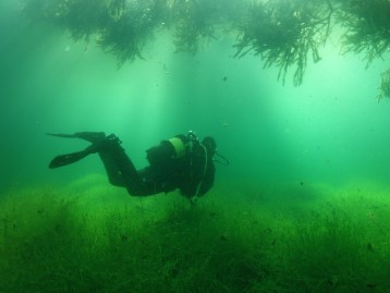 Padi AOWD ehk sukeldumise jätkukursus ÜHELE 350€ - Emoti.ee Padi AOWD ehk sukeldumise jätkukursus ÜHELE 350€ - Emoti.ee