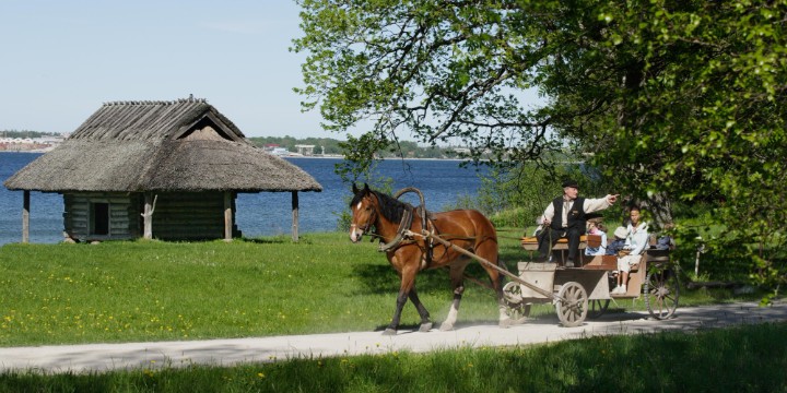 Romantiline piknik Eesti Vabaõhumuuseumis KAHELE - Emoti.ee