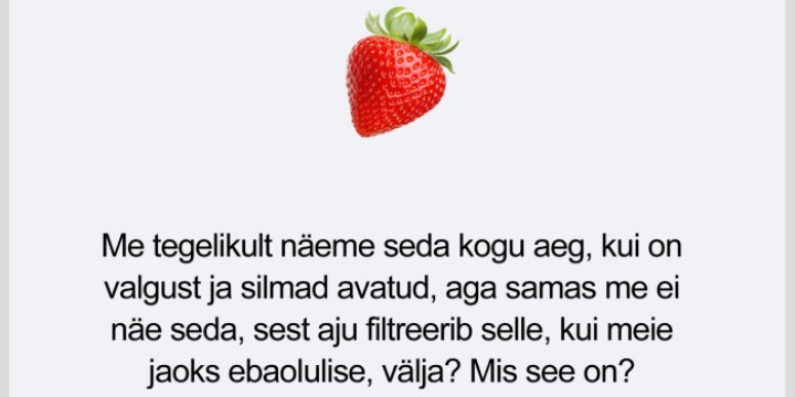 Meelelahutuslik mälumäng - Emoti.ee