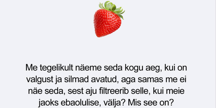 Meelelahutuslik mälumäng „Kelle pea on prügikast?“ - Elamused üle Eesti